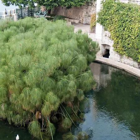 Corallia Syracuse